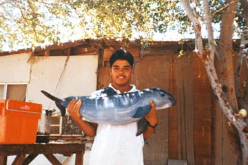 Miren al tonto de la foto, hasta sonrie como si fuera muy gracioso cargar una de las 600 vaquitas marinas restantes en el mundo.

La <b>vaquita mari...